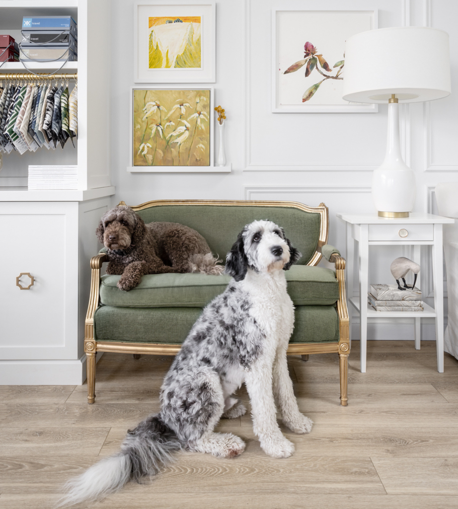 simply-home-decorating-dog-friendly-furnishings-west-vancouver-home-office-design-green-accent-chair